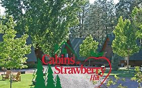 Cabins On Strawberry Hill